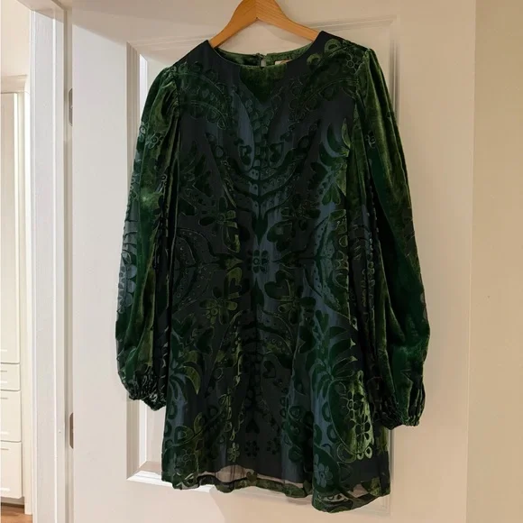 Farm Rio x Anthropologie Long-Sleeve Burnout Velvet Mini Dress, NWOT, size S - Picture 4 of 5
